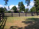 928 Shell Bluff Drive - Photo 2