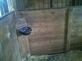 928 Shell Bluff Drive - Photo 8