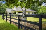 517 Marion Street - Photo 23