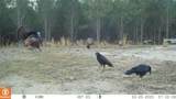 822 Hutto Pond Rd Road - Photo 26