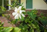 8074 Church Street - Photo 6