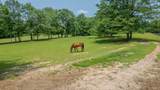 148 Derrick Road - Photo 57