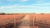 06 Shaws Fork Road - Photo 10