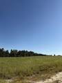 06 Shaws Fork Road - Photo 9