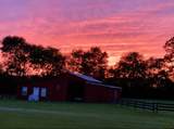 2087 Gray Mare Hollow Road - Photo 7