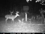 7901 Ashleigh Road - Photo 86