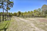 496 Wire Road - Photo 36