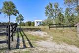 496 Wire Road - Photo 46