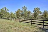 496 Wire Road - Photo 47