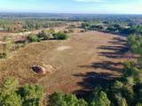65 Acres Wagener Road - Photo 12