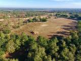 65 Acres Wagener Road - Photo 13