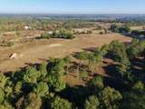 65 Acres Wagener Road - Photo 14