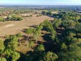65 Acres Wagener Road - Photo 15
