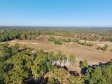 65 Acres Wagener Road - Photo 19