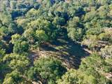 65 Acres Wagener Road - Photo 22