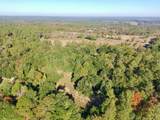 65 Acres Wagener Road - Photo 24