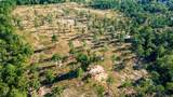 73 Acres Wagener Road - Photo 10