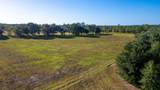73 Acres Wagener Road - Photo 12