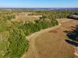 77 Acres Wagener Road - Photo 29