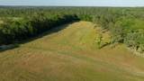 73 Acres Wagener Road - Photo 5
