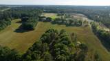 73 Acres Wagener Road - Photo 6