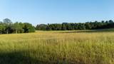 73 Acres Wagener Road - Photo 7