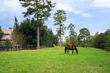 1029 Shell Bluff Drive - Photo 69