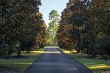 1029 Shell Bluff Drive - Photo 82