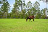 1029 Shell Bluff Drive - Photo 9