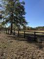 1988 Coleman Bridge Road - Photo 19