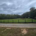 529 Cumbee Trail Road - Photo 51