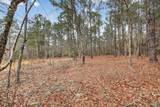 805 Long Branch Circle - Photo 41