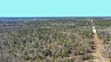 000 Hwy 78 - Photo 11