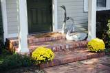 403 Banks Mill Road - Photo 8
