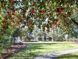 607 Colleton Avenue - Photo 56
