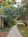 607 Colleton Avenue - Photo 58