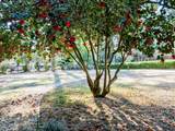607 Colleton Avenue - Photo 59