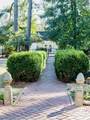 607 Colleton Avenue - Photo 65