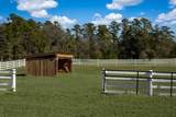 7356 Johnson Shortcut Road - Photo 77