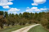 7356 Johnson Shortcut Road - Photo 8