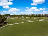 7356 Johnson Shortcut Road - Photo 81