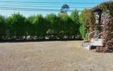 1101 Pine Drive - Photo 3