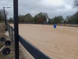 613 Dressage Court - Photo 10