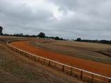 613 Dressage Court - Photo 13