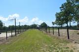 613 Dressage Court - Photo 5