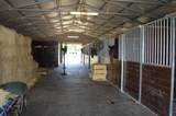 613 Dressage Court - Photo 6