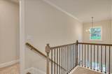 184 Collin Reeds Road - Photo 39