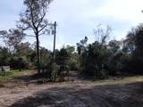 1081 Bamboo Lane - Photo 11