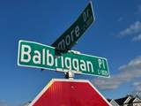 283 Balbriggan Place - Photo 24
