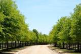 891 Lauren Circle - Photo 54